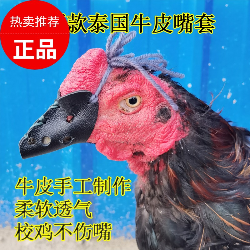 Thai Fighting Chicken Mouth Sets of Chicken Mouth Cockmouth Sets of Leather Mouth Cover of Genuine Leather Mouth Set of Chicken Protective Mouth Cover of Chicken Mouth