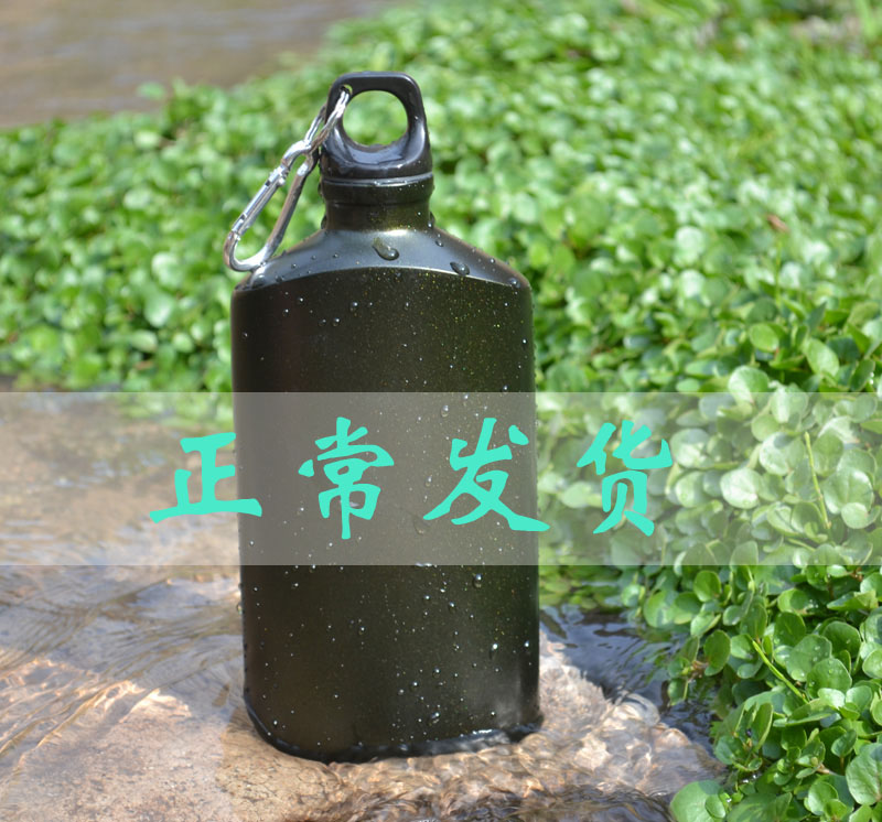 Defective kettle 500ml metal sports kettle Student water bottle Portable packaging Aluminum oval cup leak-proof