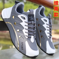 X-b117 grey (кожаная лапша) увеличение
