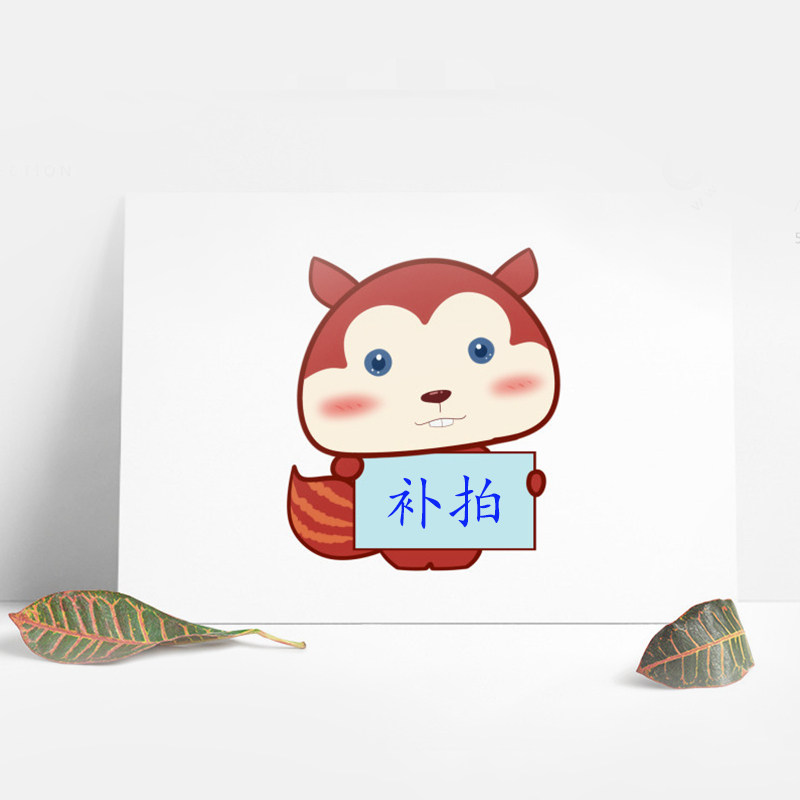 Exclusive ultra-connection for freight price difference (16 points before the day of payment can be issued)