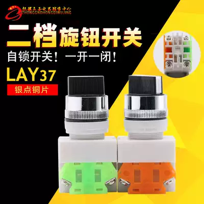 Zhuang silver switch button LAY37-11X2 aperture 30MM two-position two-speed knob self-locking switch power supply
