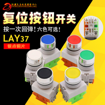 ZHUANG YIN SILVER POINT COPPER PARTS LAY37-11BN SWITCH BUTTON SELF-RESET ROUND 22MM SMALL REBOUND KEY