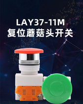 Zhuang silver mushroom head self-reset switch button Y090 LAY37 11M small round press New 22MM