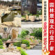 ຫີນພູມສັນຖານທໍາມະຊາດ Taihang Jinyuan ກ້ອນຫີນ Baipo ສີເຫຼືອງ fragmented paving ແກນ revetment ຕົ້ນໄມ້ອ້ອມຮອບສວນສະຫນາມຫຍ້າຫີນສີຂຽວ