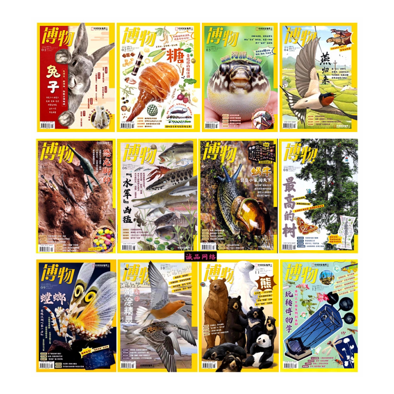 Natural History Magazine 2023, 12 Issues Throughout the Year: Rabbit, Sugar, Pufferfish, January, February, March, April, May, June, July, August, September, October, November, December Natural History Magazine 2023, 12 Issues Throughout the Year: Rabbit, Sugar, Pufferfish, January, February, March, April, May, June, July, August, September, October, November, December