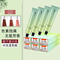 Hair Salon Single Tide Color Dyeing Cream Rose Gold Native hair shop Private cover White hair dye Hair Dye HAIR DYE WHOLESALE