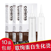 Hairdressshop Special Cold Scalding Hair Salon Hair Salon Hair Lotion Textured Perching with Aromatic Electric Hair Cold Scalding