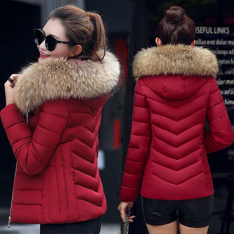 Slim-Fit down Cotton Jacket, Short Style, 2025 New Winter Model, Very Stylish Cotton Coat for Petite Women, 2026 Popular Cotton Outerwear Slim-Fit down Cotton Jacket, Short Style, 2025 New Winter Model, Very Stylish Cotton Coat for Petite Women, 2026 Popular Cotton Outerwear