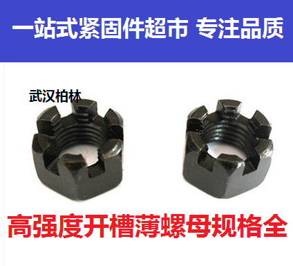 GB6181 high strength slotted thin nut slotted cap notched thin nut M6M8M10M12M14M16M18-M36