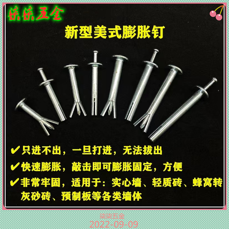 New stainless steel fast cement percussion type expansion nail one nail expansion screw gecko insert nail core rivet