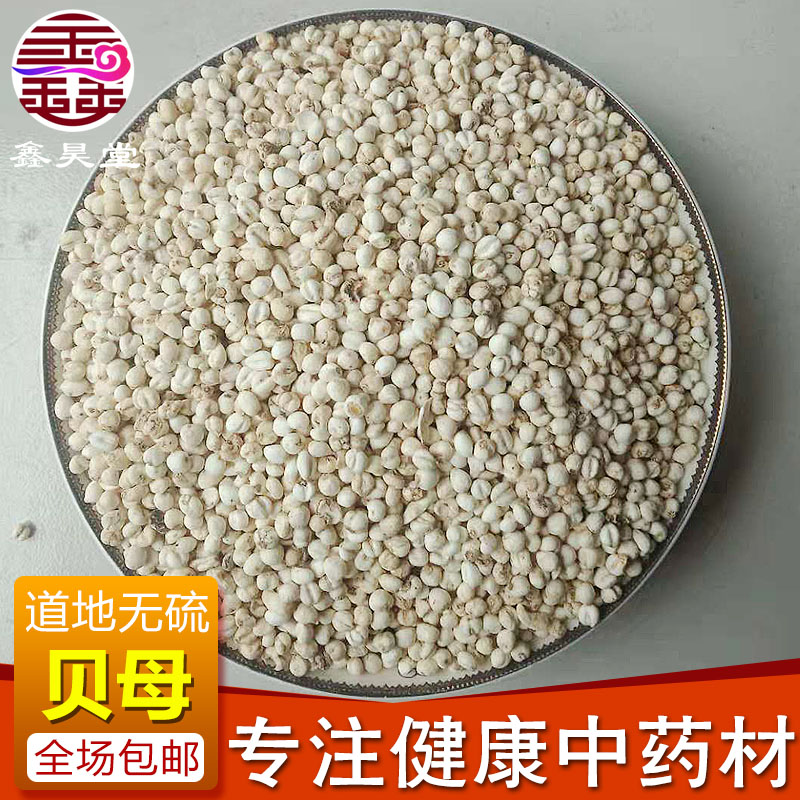 Small Fritillaria 500g~5kg Chuan Fritillaria, Pine Fritillaria, Furnace Fritillaria, Flat Fritillaria, Zhejiang Fritillaria