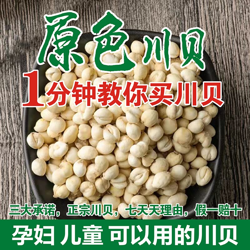 Sichuan Chuanbei mother no fumigation 250g Chuanbei powder children's primary color Chuanbei traditional Chinese medicine soaked in water