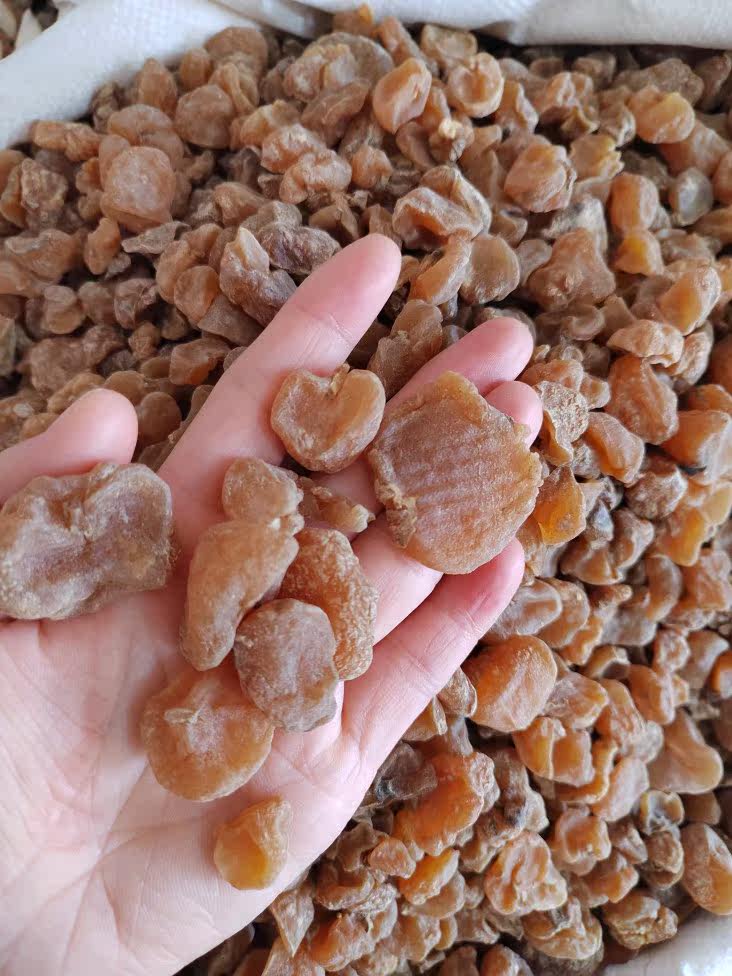 500g~5kg of high-quality soil fritillary