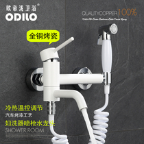 Womens wash cold and hot water All copper paint white toilet spray gun companion wash ass flusher Mop pool faucet