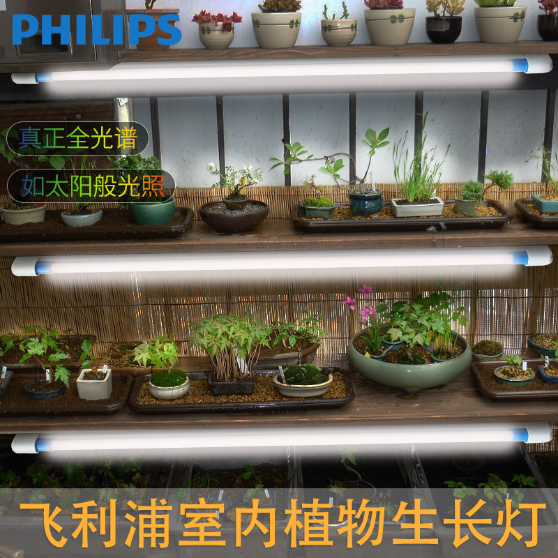 飞利浦全光谱LED植物盆栽绿植补光放太阳夹子悬挂家多功能灯管