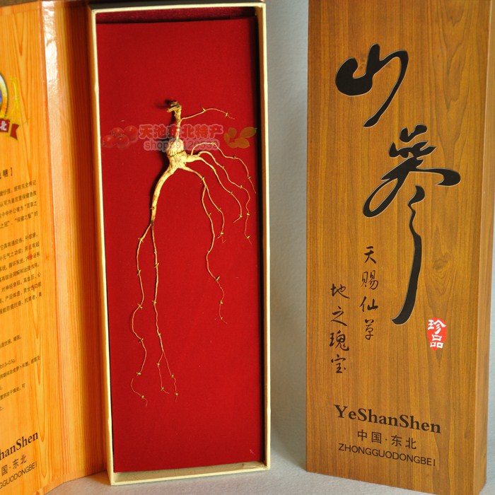 Origin direct Changbai Mountain ginseng gift box Mountain ginseng exquisite gifts