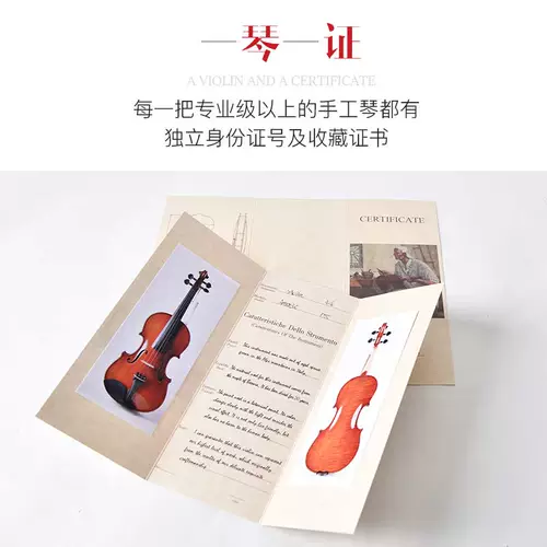 Импортная профессиональная скрипка из натурального дерева для взрослых, «сделай сам»