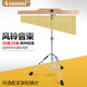 Asanasi sound beam ກະດິ່ງລົມສຽງ beam row bell percussion instrument ຄໍາແລະເງິນ 25-tone/36-tone ບັນທຶກຄວາມກົມກຽວກັນ