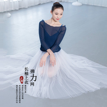 Dancing space Summer new dance clothing mesh coat female adult ballet costume classical dance gown