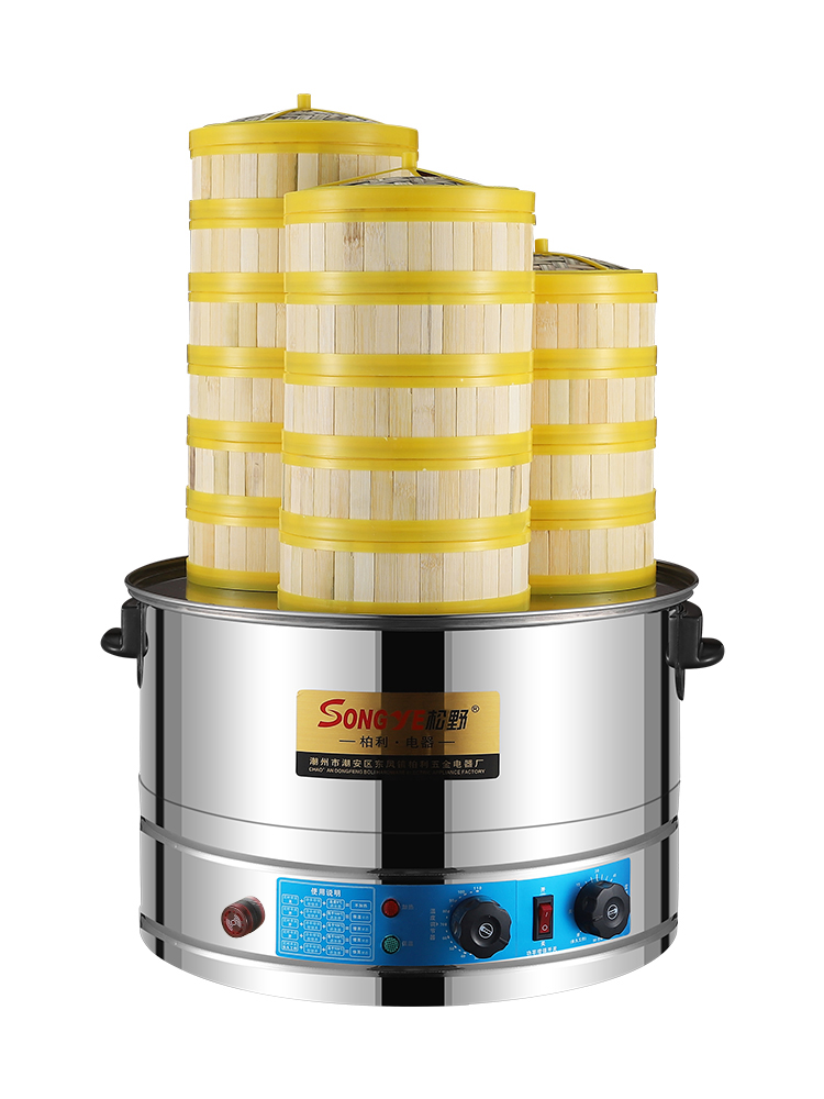 Matsuno Electric Steamer Commercial Xiaolongbao Steamer Gas Small Steamed Bun Machine Shaxian Bamboo Steamer Breakfast Electric Steamer