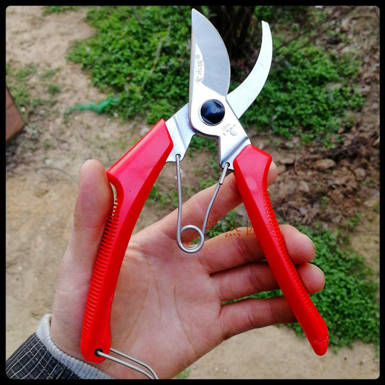 Taiwan Jinshuicheng imported red handle 120 gardening pruning scissors SK5 steel shear fruit tree hand shear garden tools