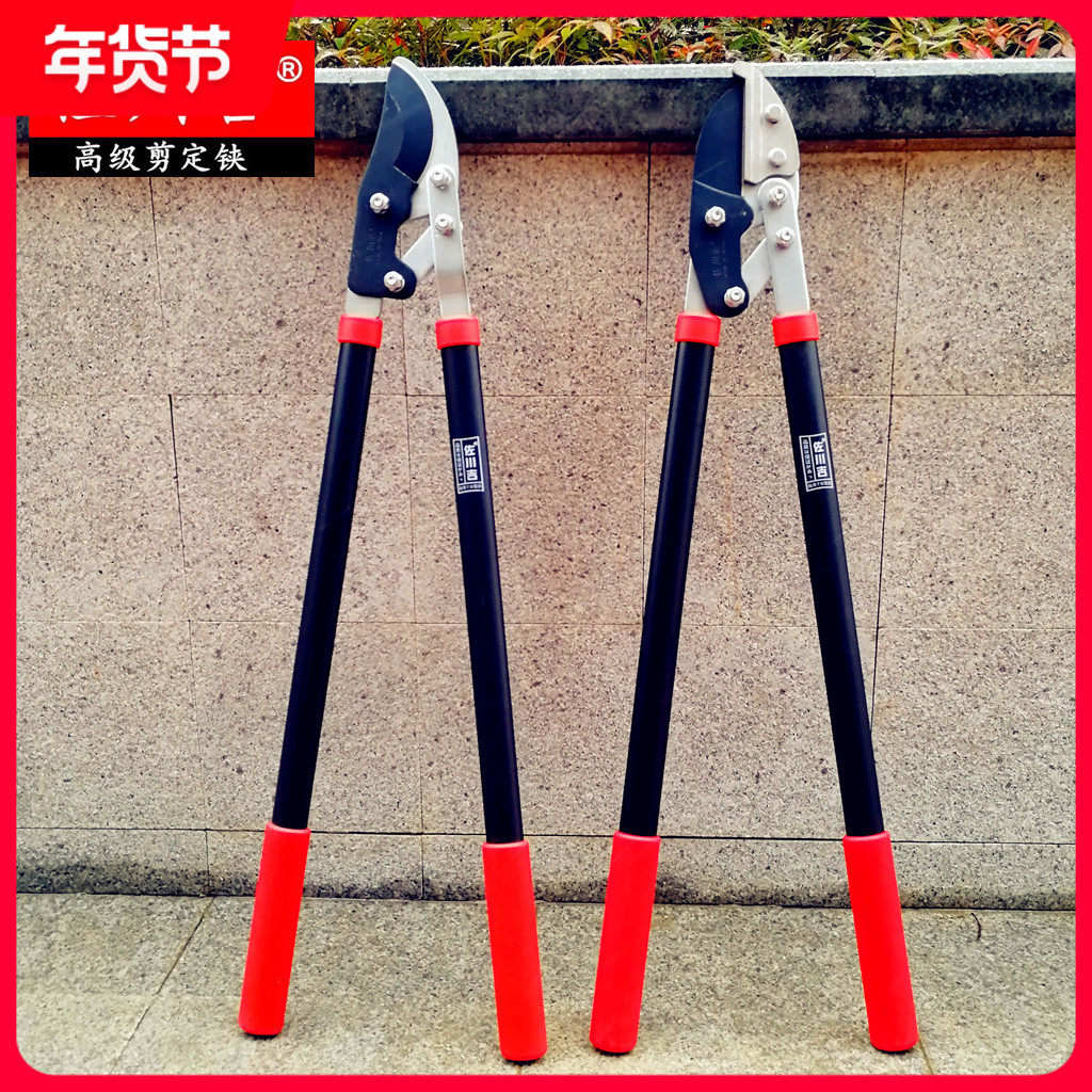 Imported Sagawa Ji straight mouth thick branch shears Hercules cut garden fruit tree seedlings pruning branches with large scissors