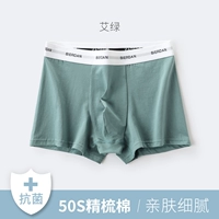 Fog Green