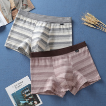 Two mens boxer underwear Xinjiang cotton striped boxer shorts student youth loose personality trend