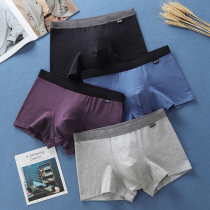 Mens underwear winter comfortable boxer pants cotton cotton stretch soft sweat-absorbing breathable solid color youth boxer pants
