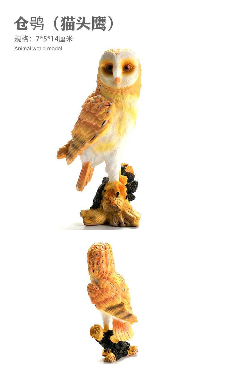 /