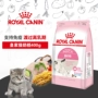 Bánh sữa mèo con hoàng gia 400g BK34 thức ăn cho mèo con 1-4 tháng tuổi cho con bú thức ăn chủ yếu 25 tỉnh thức ăn thú cưng