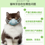 Зубная щетка для кошек Зубная паста зуб