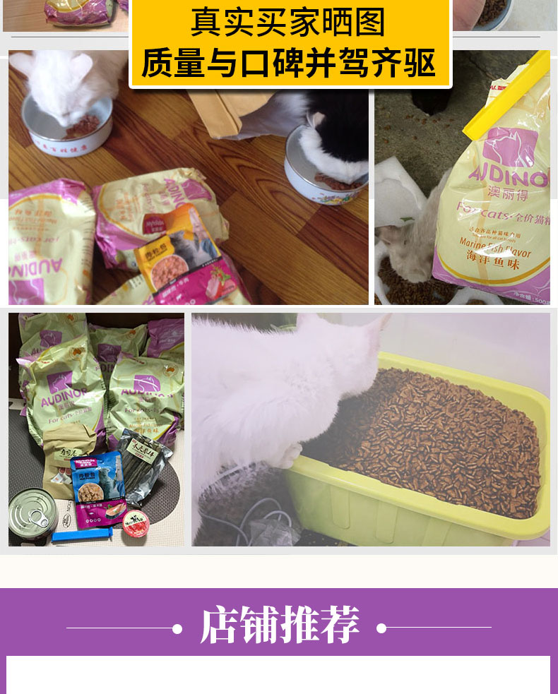 Thức ăn cho mèo Remi Gao Oulide 10kg20 kg 500g * 20 gói vào mèo con mèo con mèo biển hương vị thức ăn chính cho mèo - Cat Staples thức ăn mèo con