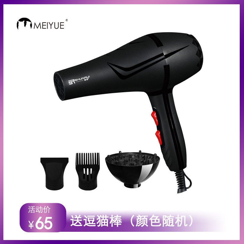 Pet Pooch Hair Dryer Small Large Canine Teddy Kitty High Power Silent Blow Water Blower Special