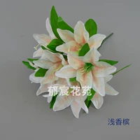 Лили дает цветы легкое шампанское