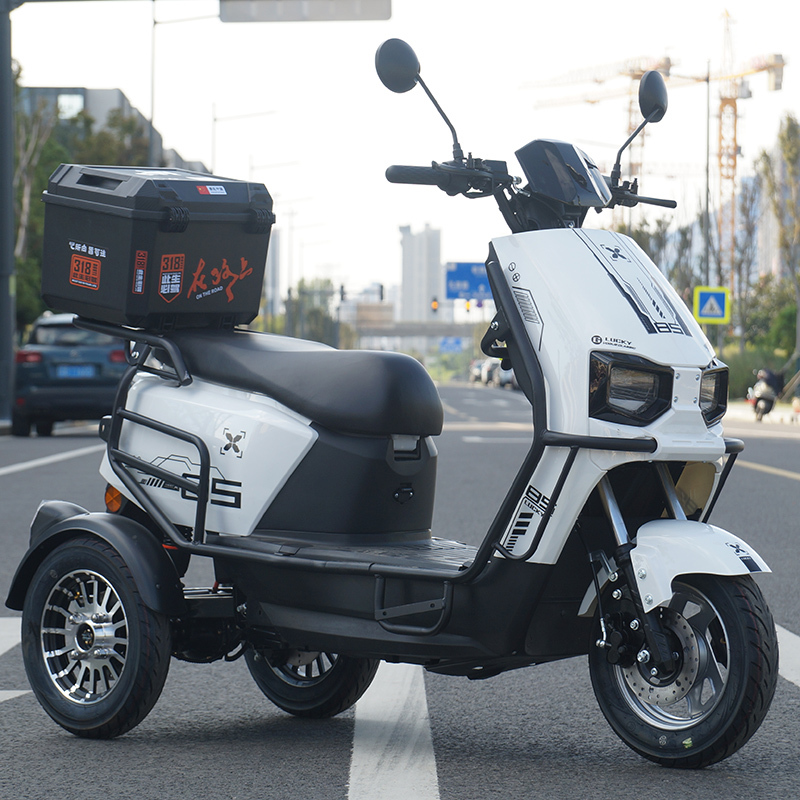 Electric Three-Wheeled Lightweight Scooter for Disabled Elderly People, Model 6072, with Graphene Lithium Battery for Transporting Children