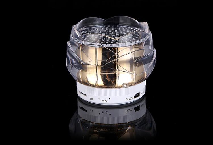 Haut-parleurs portables HUAXIN - Ref 2270983 Image 11