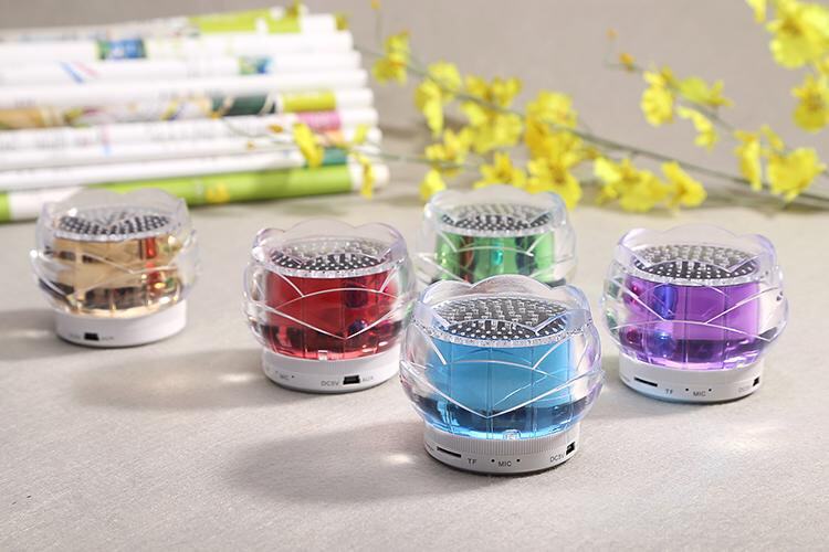 Haut-parleurs portables HUAXIN - Ref 2270983 Image 18