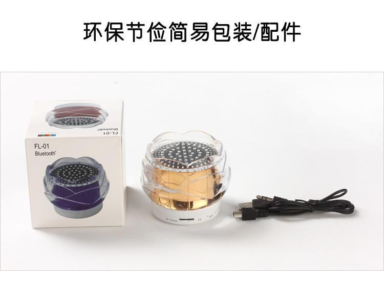 Haut-parleurs portables HUAXIN - Ref 2270983 Image 31