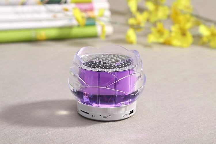 Haut-parleurs portables HUAXIN - Ref 2270983 Image 21