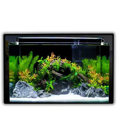 真水草鱼缸水族箱小型客厅办公室桌面家用生态草缸装饰布造景套餐 真水草鱼缸水族箱小型客厅办公室桌面家用生态草缸装饰布造景套餐