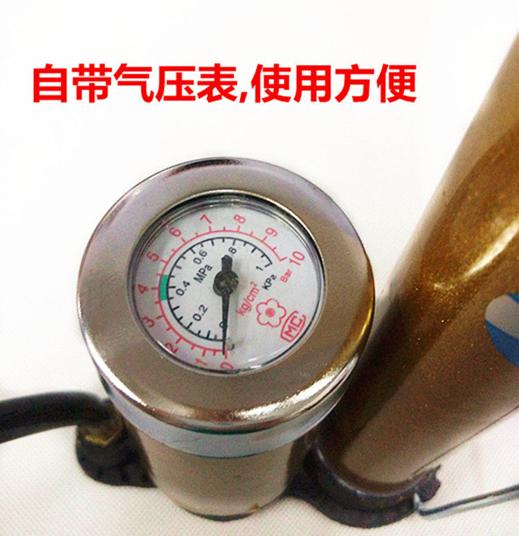 Pompe à vélo - Ref 2389934 Image 13