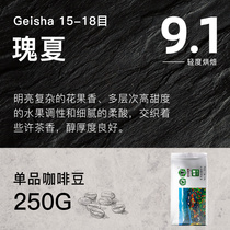 Aini Manor Yunnan Puer 15-18 mesh Guoxia organic coffee beans Geisha one point home 250g