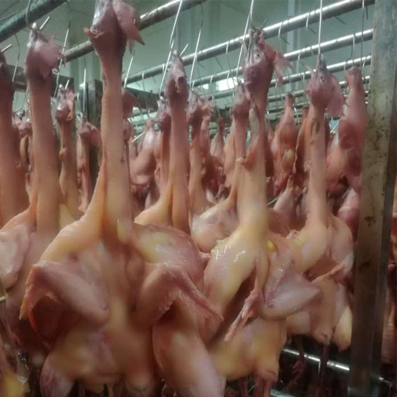 Zhejiang Wind Rooster Chicken Air-dried Chicken Fresh Jiangnan Flavor Whole 800g left and right Hangzhou