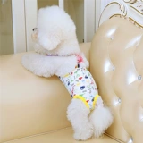 Физиологичные штаны, безопасные подтяжки, нижнее белье