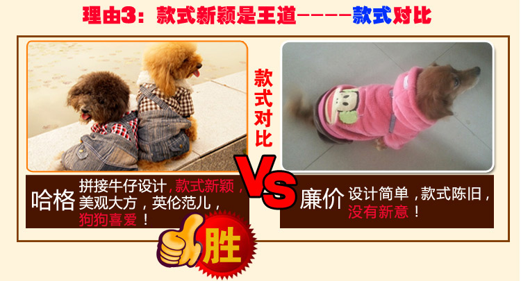 Thú cưng chó nhỏ quần áo quần áo mùa thu và mùa đông Quần áo bốn chân Teddy chó con quần áo quai quần áo mùa xuân và quần áo mùa thu dày quần áo - Quần áo & phụ kiện thú cưng quần áo cho mèo