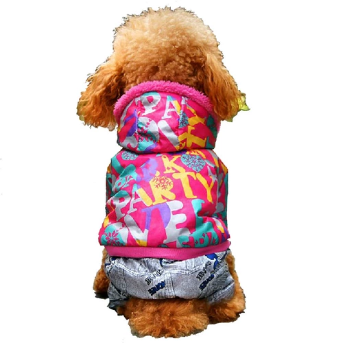 Демисезонный пуховик, летняя кукла, осенний сезон, кошки и собаки, домашний питомец