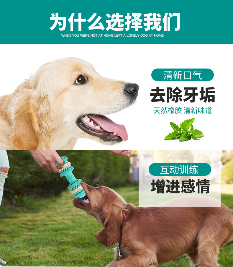 Pet puppy dog ​​toy ball vocal mol cắn đào tạo Teddy gấu con chó con đồ chơi mèo 	nhà đồ chơi cho chó
