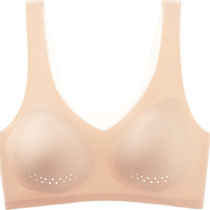 Cat Man Cool Indefined Lindwear Lady Bra Small Bra Summer Sports Vest Ice Filament Bra