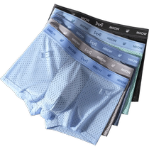 Catman mens underwear mens seamless ice silk breathable mesh boxer shorts summer new boxer briefs
